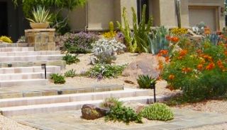 Landscape Design In Scottsdale
