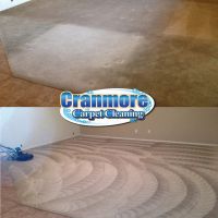 household chemicals supplier surprise Cranmore Carpet Cleaning LLC