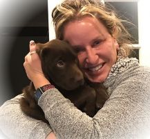 pet trainer surprise WizeDogs Labradors & 