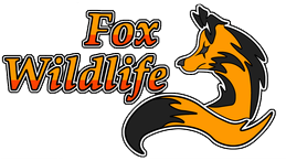 bird control service surprise Fox Wildlife Termite and Pest