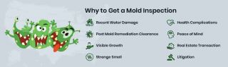 mold maker surprise Mold Inspection & Testing Phoenix AZ