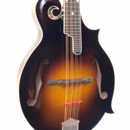 musical instrument manufacturer surprise Sun Valley Guitars