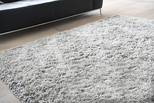 Carpet in Living Room