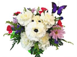 flower delivery tempe Fiesta Flowers Plants & Gifts
