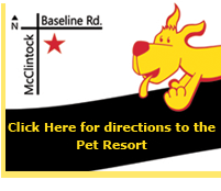Wiggles and Wags Pet Resort Directions