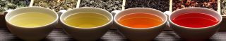 tea wholesaler tempe Lifetime Tea