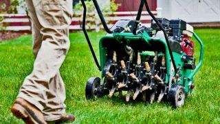 lawn care service tempe A1 Lawn Aeration
