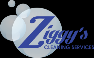 gutter cleaning service tempe Ziggy's Cleaning Services