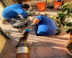 drainage service tempe Rooter Hero Plumbing of Tempe
