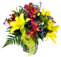 orchid grower tempe Fiesta Flowers Plants & Gifts