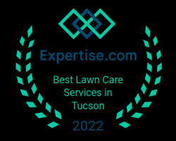 lawn care service tucson Action Yard and Tree Service Tucson AZ | Landscaping Company