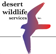 animal control service tucson Desert Wildlife Services