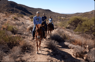pony ride service tucson Boomerang Riding Adventures