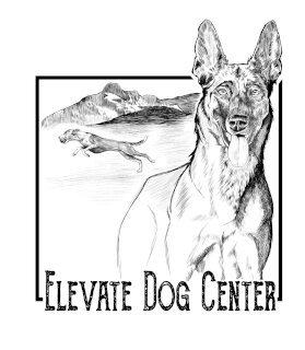 cat trainer tucson Elevate Dog Center