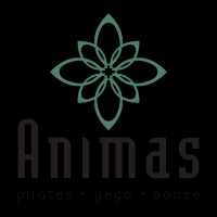 flamenco school tucson Animas Pilates Yoga Dance