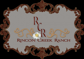 aboriginal and torres strait islander organisation tucson Rincon Creek Ranch