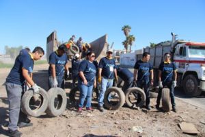 environmental organization tucson Sonoran Institute