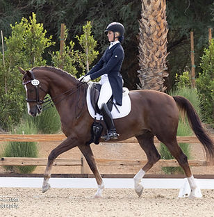 horse trainer tucson DeCesari Equestrian