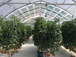 hydroponics equipment supplier tucson Controlled Environment Agriculture Center