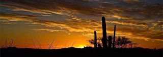 Tucson - The Sun is rising to guide you on your post divorce journey