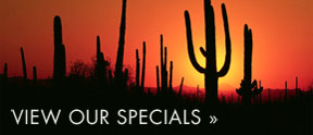 cabin rental agency tucson Furnished Vacation Rentals in Tucson by Solterra Realty