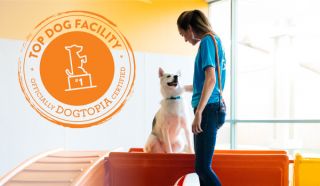 dog day care center tucson Dogtopia of Tanque Verde